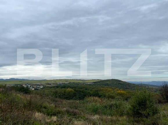 Teren de vânzare Ciurila - 190702TV | BLITZ Cluj-Napoca | Poza3