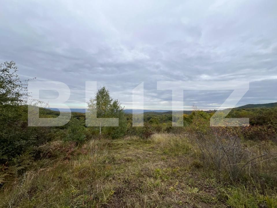 Teren de vânzare Ciurila - 190702TV | BLITZ Cluj-Napoca | Poza2