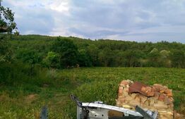 4700 mp teren intravilan - Rascruci - EXCLUSIVITATE