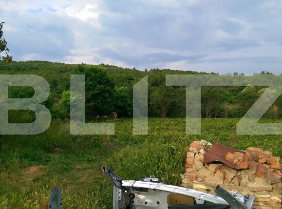 Casa de vânzare 2 camere Răscruci - 190735CV | BLITZ Cluj-Napoca | Poza2