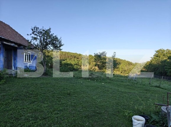 Casa de vânzare 2 camere Răscruci - 190735CV | BLITZ Cluj-Napoca | Poza1