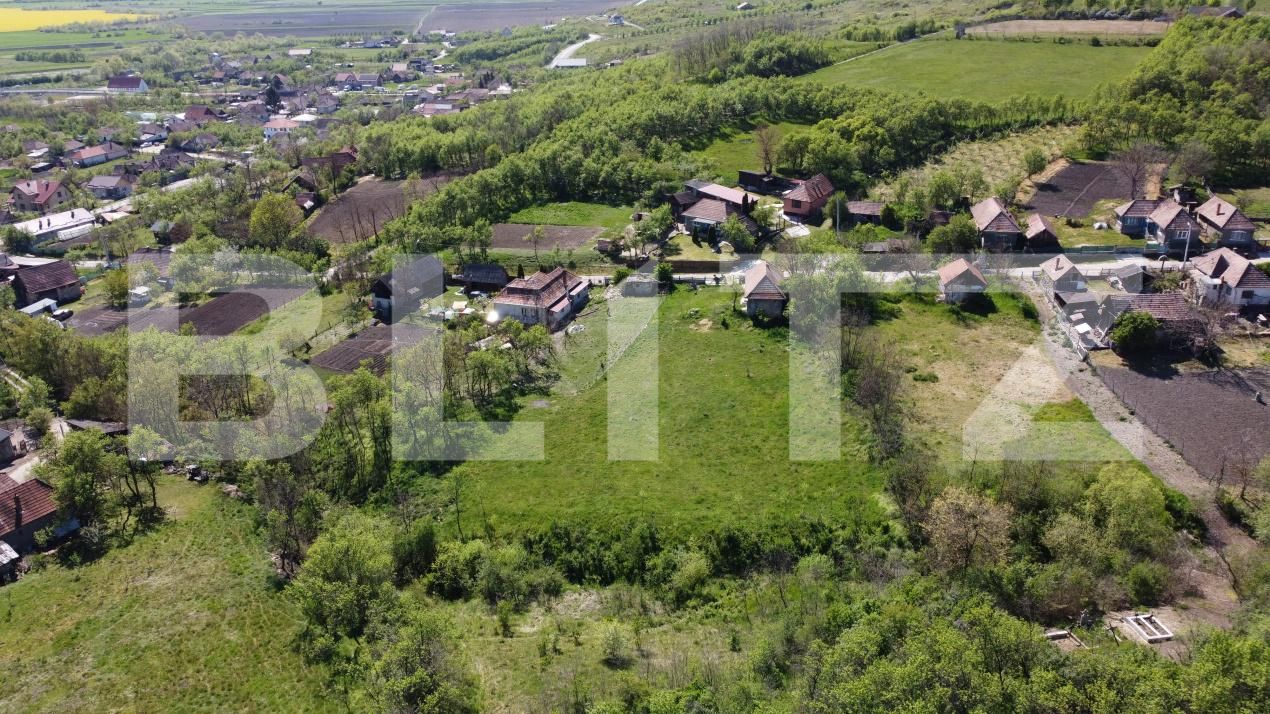 Casa de vânzare 2 camere Răscruci - 190735CV | BLITZ Cluj-Napoca | Poza3