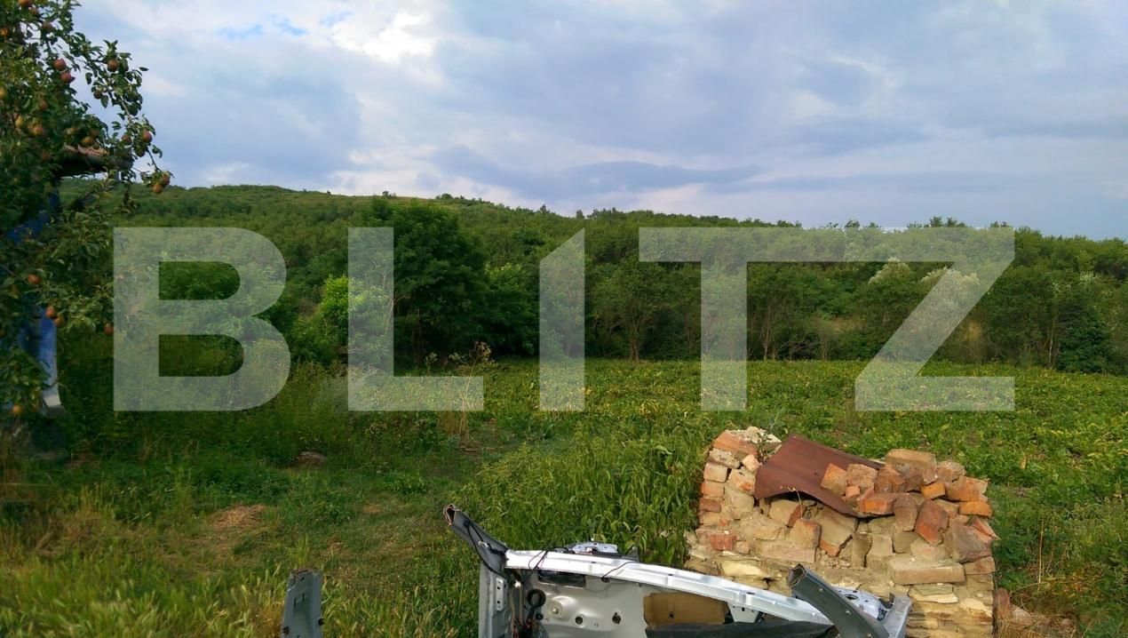 Casa de vânzare 2 camere Răscruci - 190735CV | BLITZ Cluj-Napoca | Poza2