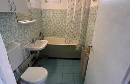 Apartament 3 camere, 60 mp, balcon și parcare | Pet Friendly | Iulius Mall