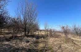 Teren intravilan de vanzare sat Gheorgheni