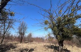 Teren intravilan de vanzare sat Gheorgheni