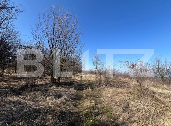 Teren de vânzare Gheorghieni Sat - 190755TV | BLITZ Cluj-Napoca | Poza2