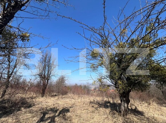 Teren de vânzare Gheorghieni Sat - 190755TV | BLITZ Cluj-Napoca | Poza1