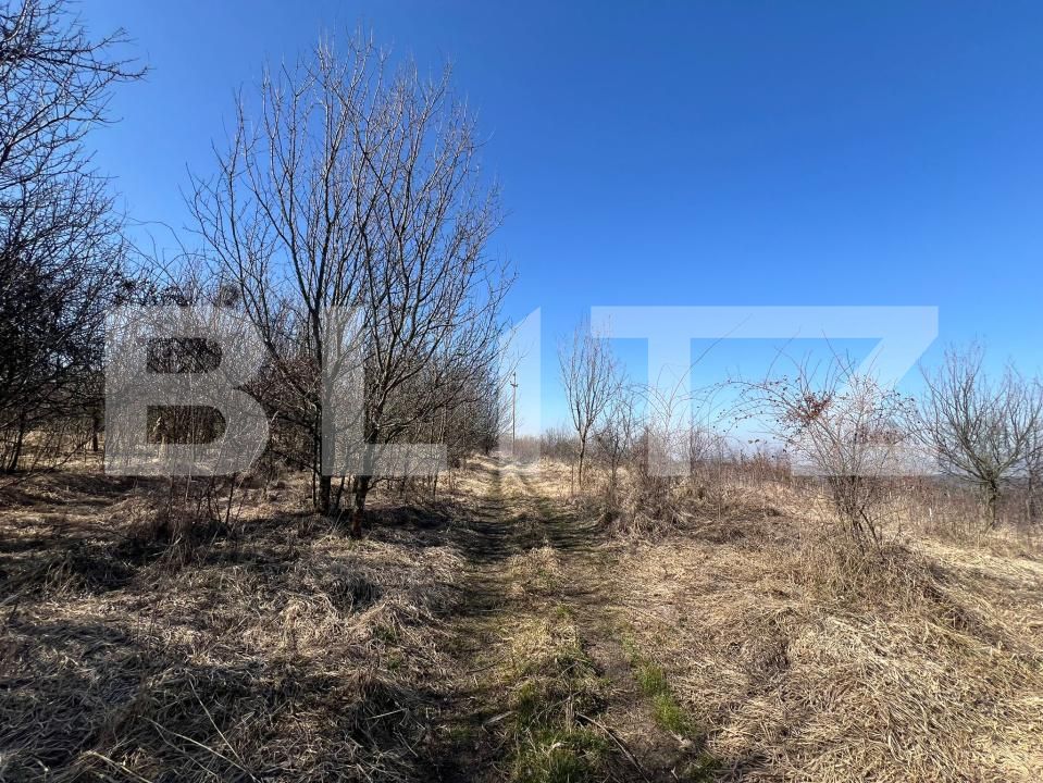 Teren de vânzare Gheorghieni Sat - 190755TV | BLITZ Cluj-Napoca | Poza2