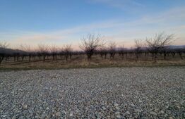 Teren intravilan langa Dealul Lempes la 15 minute de Brasov Toate Utilitatiile