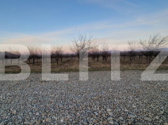 Teren de vânzare Harman - 190766TV | BLITZ Brașov | Poza7