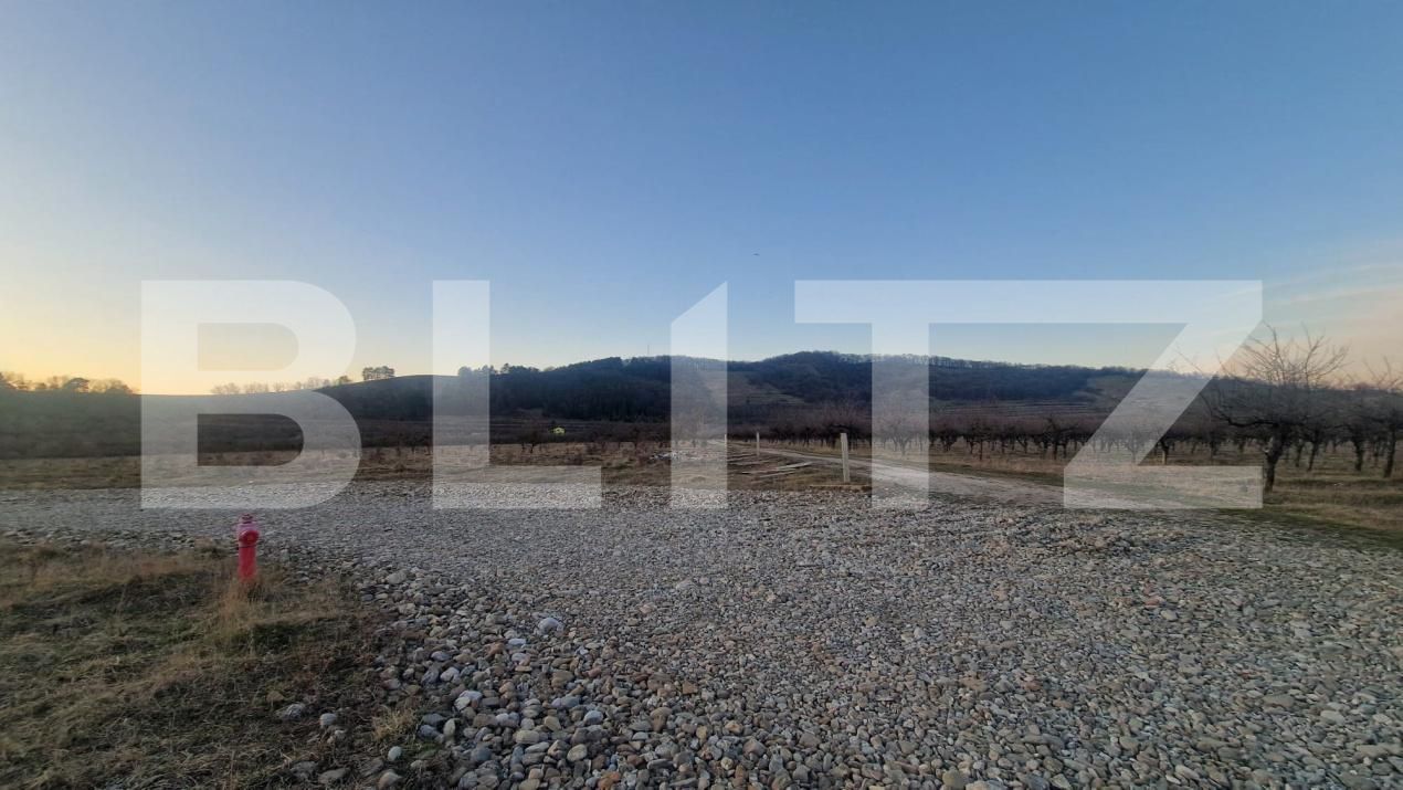 Teren de vânzare Harman - 190766TV | BLITZ Brașov | Poza8