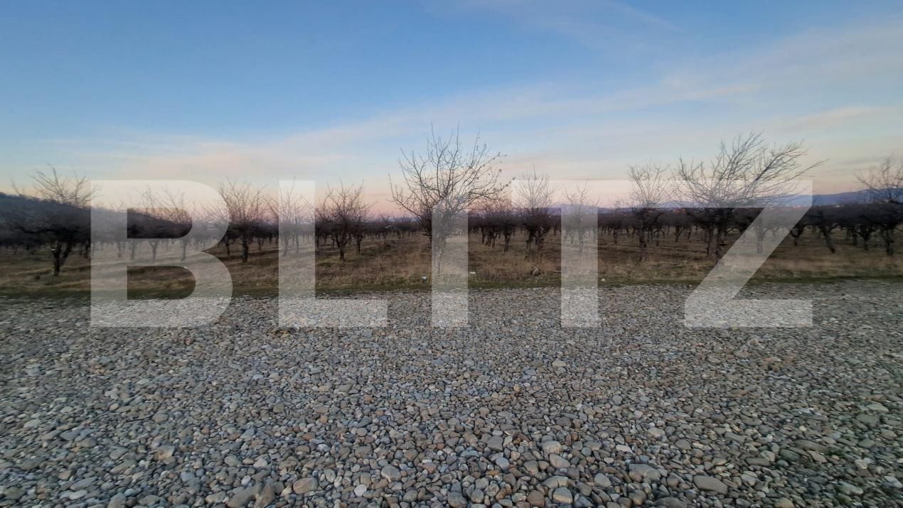 Teren de vânzare Harman - 190766TV | BLITZ Brașov | Poza7