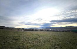 Oportunitate de Investiție - 8000 mp intravilan in Salicea 