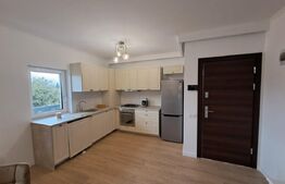 Apartament 2 camere, 52 mp, parcare, zona Avram Iancu