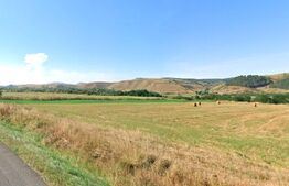 Teren industrial 9.000 mp Gilau Front la DN1 E60 Acces TIR