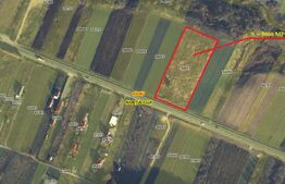 9.000 MP la DN E60 Gilau investitie industriala strategica