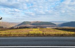 Teren industrial 9.000 mp Gilau Front la DN1 E60 Acces TIR