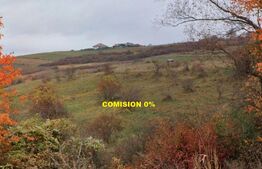 Teren de vânzare Făget - 192470TV | BLITZ Cluj-Napoca | Poza3