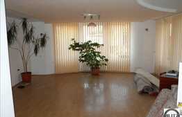 Casa individuala 5 camere, 270 mp utili, nemobilata, zona strazii Fabricii