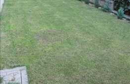 Casa de vanzare, 230 mp utili, teren de 250 mp, in centrul orasului!