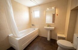 Apartament decomandat cu 1 cameră, 40 mp, zona Zorilor