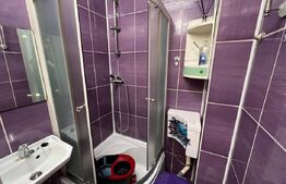 Garsoniera de inchiriat, 25 mp, zona Expo Transilvania