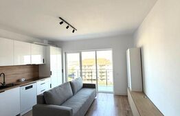 Apartament 2 camere, 40 mp, zona Teilor