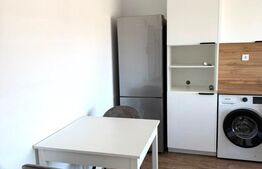 Apartament 2 camere, 40 mp, zona Teilor