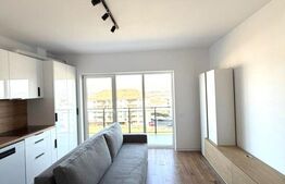 Apartament 2 camere, 40 mp, zona Teilor