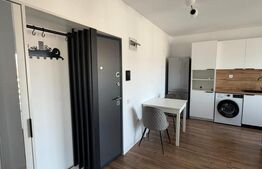 Apartament 2 camere, 40 mp, zona Teilor