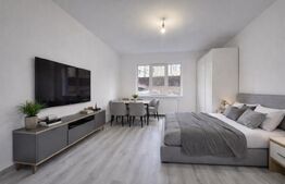 Cameră de cămin renovată complet, cu baie proprie