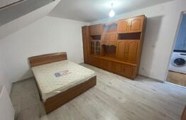 Apartament 2 camere decomandate, 50 mp, parcare, renovat, zona USAMV