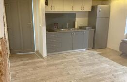 Apartament 2 camere, semidecomandat, 55 mp, Centru/Horea