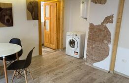 Apartament 2 camere, semidecomandat, 55 mp, Centru/Horea