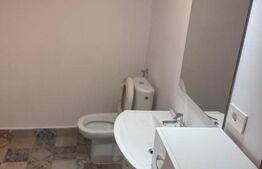 Apartament 2 camere, semidecomandat, 55 mp, Centru/Horea