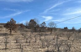 Teren de vânzare Feleacu - 183082TV | BLITZ Cluj-Napoca | Poza4