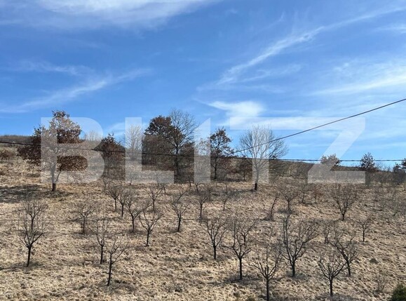 Teren de vânzare Mera - 191024TV | BLITZ Cluj-Napoca | Poza1