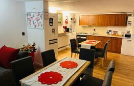 Proprietate unica în Feleacu–2 case individuale amplasate pe un teren de 1582 mp