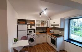 Garsoniera moderna tip studio, 25 mp, Semicentral, cu loc de parcare