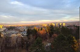 Garsoniera, 31 mp, parcul Detunata!