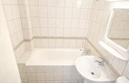 Apartament 1 camera | Centrala Proprie | Marasti