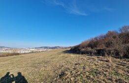 Teren extravilan, 5600mp, ideal investitie de viitor, zona Vidului, Floresti