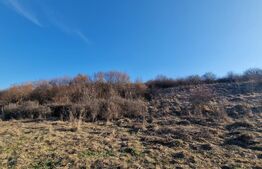 Teren extravilan, 5600mp, ideal investitie de viitor, zona Vidului, Floresti