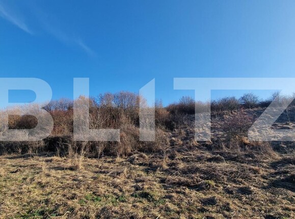 Teren de vânzare Floreşti - 191132TV | BLITZ Cluj-Napoca | Poza3