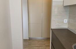 Garsoniera de de inchiriat, 40 mp utili, zona  centrala