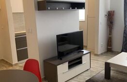 Garsoniera de de inchiriat, 40 mp utili, zona  centrala