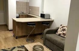 Garsonieră modernă, prima închiriere după renovare, Grigorescu