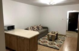 Garsonieră modernă, prima închiriere după renovare, Grigorescu