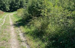 Teren 700 mp intravilan casele micesti